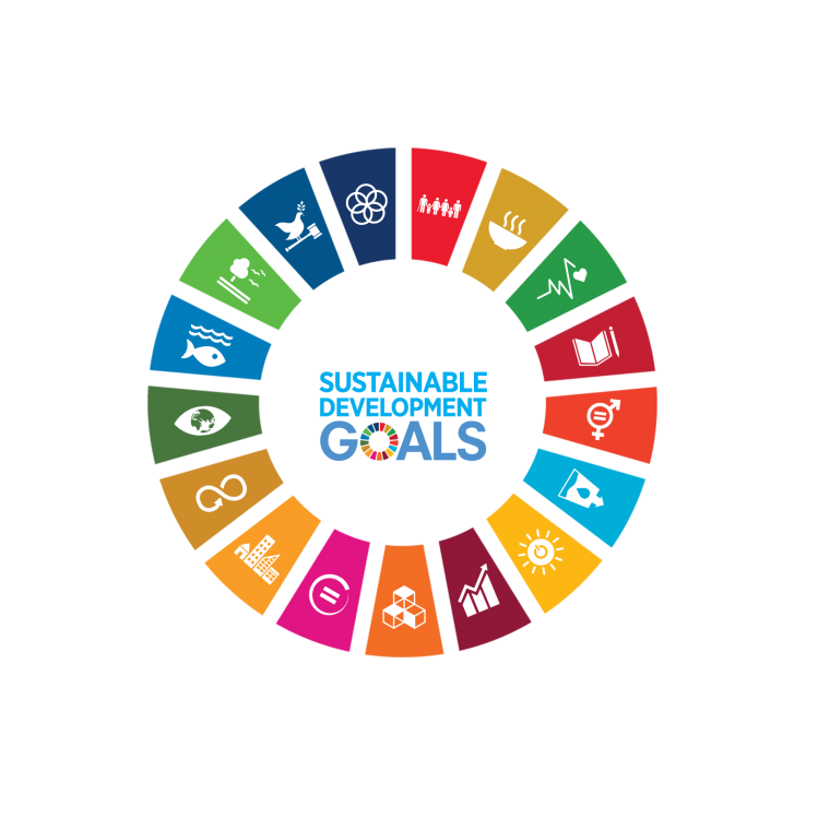 sdg-logo